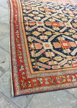 Sanandaj rug

I'm of the opinion that the pattern of this velvet like Kurdish rug is originated from Herati fish pattern , although the structure looks like Zeichur rugs of Caucasus. 
Background of  ...