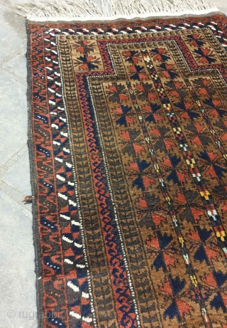 BALUCH prayer rug in mint condition, woven in ZIRKOUH of GHAEN , interestingly with this rug is its colorful hues which can be considered as an exception among baluchy rugs , fringes  ...