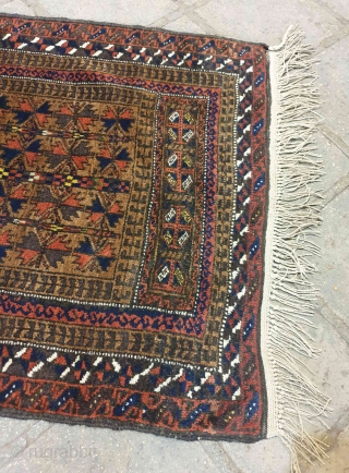 BALUCH prayer rug in mint condition, woven in ZIRKOUH of GHAEN , interestingly with this rug is its colorful hues which can be considered as an exception among baluchy rugs , fringes  ...