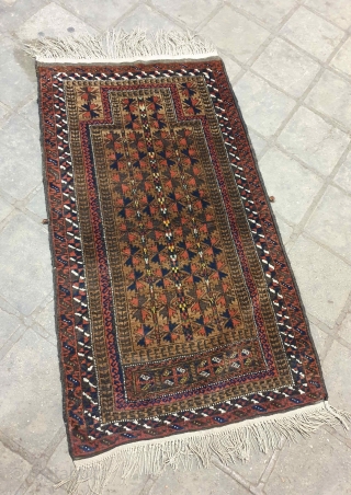 BALUCH prayer rug in mint condition, woven in ZIRKOUH of GHAEN , interestingly with this rug is its colorful hues which can be considered as an exception among baluchy rugs , fringes  ...