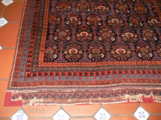 REF 1439 Antique Afshar rug of venerable age and fine quality. 6'11 x 5'9 - 210 x 174
Full pile of excellent soft wool.  Elaborate kelim ends have been conserved.   