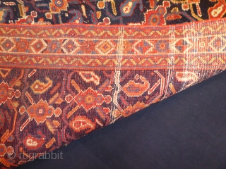 1615 Afshar, circa 1900. Natural dyes and in good condition with out restoration.
4;4 x 3'3 - 133 x 98
              