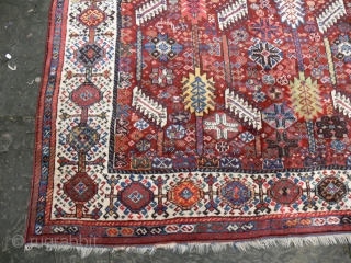1292 Shekarlu late nineteenth century. In excellent condition with all natural dyes.
7'5 x 5'5 - 226 x 166
check my website purdon.com for new additions and my rug rabbit pages    