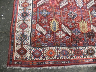 1292 Shekarlu late nineteenth century. In excellent condition with all natural dyes.
7'5 x 5'5 - 226 x 166
check my website purdon.com for new additions and my rug rabbit pages    