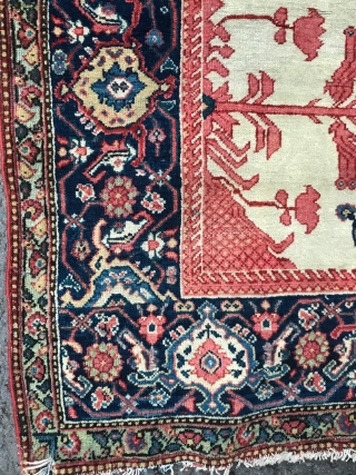 Ref 1605 Antique Fereghan rug circa 1880.  In good condition without restoration.  Excellent natural dyes. 196 x 122             