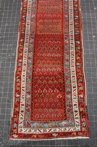 antique Kurdistan runner 320 x 103 cm (10f 8" x 3ft 5") early or 1st quarter 20th century. All natural dyes. Condition: ready to use, evenly medium to low pile (minor wear  ...