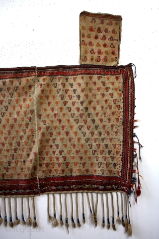 Large Saddle blanket, for a camel, Shahsavan early 20th century. 
wide 155 Cm's 5 ft 2 inch. 
high 170 cm   5 ft 8 inch
       