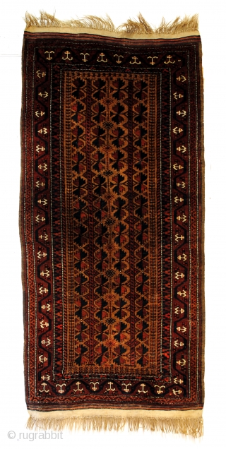 Fine Baluch, Camel ground field. 
Beautiful glow! 
180 x 80 Cm. 6 feet x 2.6 feet. 
Perfect condition. 
All natural dyes. 
           