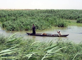 Ma'dan marsh nomads from south Irak. 
Ancient figuration. 
they live(d) on self-made island made of reed in hauses made of reed. 

153 x 240 Cm's. 

       