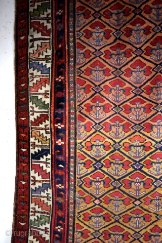 Meshkin, Prov. Ardebil, South Caucasus. 
Late 19th century. 
size 365 x 115 Cm. 
Headings and borders ok. 
Great natural colors.             