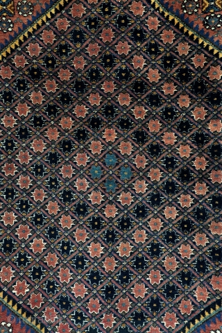 Afshar, dazzling color pallette, 132 x 165 Cm. 4.4 feet x 5.5 feet. 
200.000 knots per sq metre. 
Full even 'meaty'pile, good condition, clean, no holes, thin spots or tears. 
Mid 20th  ...