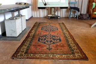 Kurdish carpet, Kelardasht, Hamadan area, 300 x 120 Cm. 
Nice abrash, firm knotted meaty rug, good condition. 
Small symbols of Simorgh, the mythical fire bird- see details. 

Age I quess 1930 -  ...