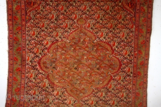 Great Senneh, 190 x 135 Cm. 
Early 20th century. 
Fine knotted, great colors. 
Some wear in the headings. 
Thin, cripy details. 
Washed, clean.          