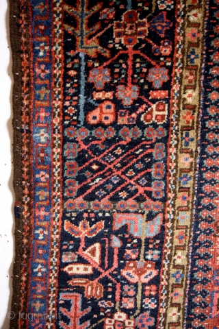 Heriz Karadja, antique 1900, left border an old repair. 
Knotted on cotton with blue wool weft. 

I like the pink contrasting with the dark indigo blue in the border. 
Would it be  ...