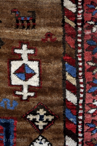 Kazak, Kuba area, Azerbeidzjan, thick like a Bidjar. 
Camel wool, natural colors. 
101 x 216 Cm's. 
80 years old.              