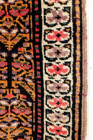 Meshkin - Ardebil, around 1910. Antique. Misterious rug. 
Very interesting pattern of a field filled with Simogh the mystical fire bird. What looks like a plant or flower is in fact an  ...