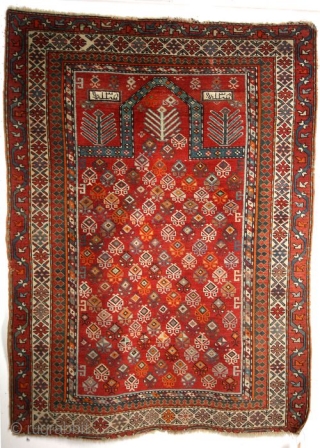 Prayer rug, Caucasus, Shirvan. 
108 x 147 Cms. 
ON AUCTION AT CATAWIKI; https://veiling.catawiki.nl/kavels/28833593-kazak-shirvan-gebied-bidkleed-150-cm-110-cm?previous=favorites

SOLD ON CATAWIKI AUCTION                 