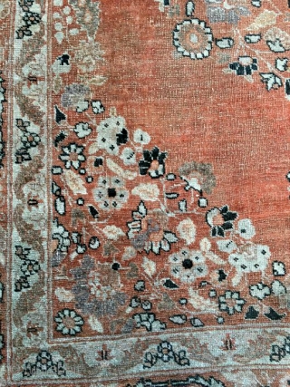 Tabriz, Hadji Jalili, late 19th century, 116 x 157 Cm.  
An open field with beautiful apricot. 
Not washed.              