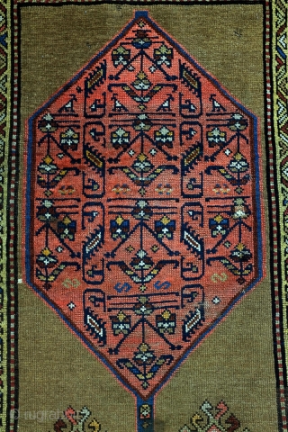 Antique runner Kazak, Derbent north Caucasus. 
290 x 110 Cm. .6 ft. x 3.6 ft. 
Wool on wool. 
crispy details. 
1900-1920. 

On a camel field 3 hexagon medaillons. 
Natural camel wool. 
In  ...