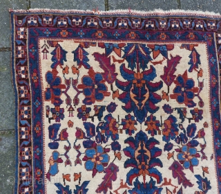 Afshar small rug, great gem, 121 x 89 cm., ca.1900. Woolen weft and warp, no repairs, all natural dyes. Last two pictures in full sunlight.        