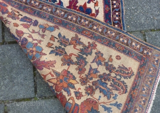 Afshar small rug, great gem, 121 x 89 cm., ca.1900. Woolen weft and warp, no repairs, all natural dyes. Last two pictures in full sunlight.        