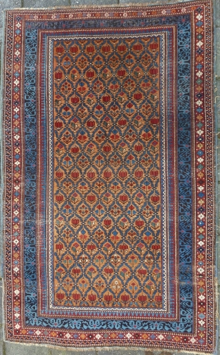 Caucasian Kuba Shirvan, 211 x 131 cms., end 19th c. Woolen warps, cotton wefted. With three localized areas of wear, as seen on the last three pictures. Selvedges needs attention. All natural  ...