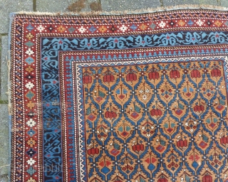 Caucasian Kuba Shirvan, 211 x 131 cms., end 19th c. Woolen warps, cotton wefted. With three localized areas of wear, as seen on the last three pictures. Selvedges needs attention. All natural  ...