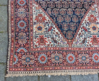 Senneh rug, 191 x 130 cms., ca. 1900. Very good condition and pile, without any wear. No repairs done. Endings complete and secured. Natural dyes and a faded hot red.   