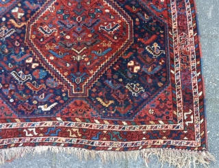 Glowing Qashqai square rug, 112  x 112 cm., 3'8" x 3'8", ca. 1900. Full pile, without any wear. Great saturated dyes, all natural. Five scattered mothing spots, fingertip seize and a  ...