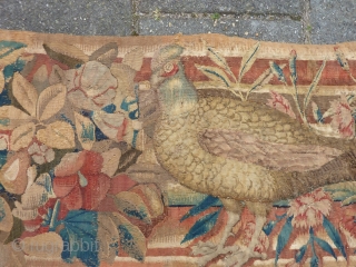 Tapestry panel with a pheasant, 17th c., 226 x 49 cm.                      