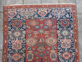 Antique NW Persian Kurdish Kelleh 244 x 121 cm., ca. 1910, with 3 small spots with foundation visible and 3 tiny spots with mothing, sides rewrapped. Endings secured.     