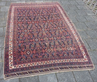 Afshar herati rug, 233  x 170  cm., 7'8" x 5'7", ca. 1900, with great, saturated colours. With wear and a kind of repaired 3 feet long slit (?) in the  ...