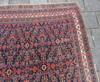 Afshar herati rug, 233  x 170  cm., 7'8" x 5'7", ca. 1900, with great, saturated colours. With wear and a kind of repaired 3 feet long slit (?) in the  ...