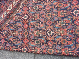 Afshar herati rug, 233  x 170  cm., 7'8" x 5'7", ca. 1900, with great, saturated colours. With wear and a kind of repaired 3 feet long slit (?) in the  ...