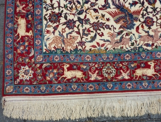 Isfahan, 160 x 105 cm., 5' 3" x 3' 5", in absolute mint condition. Knotted with the finest quality of wool on a silk foundation ( 10 x 10 per cm2 ).  ...