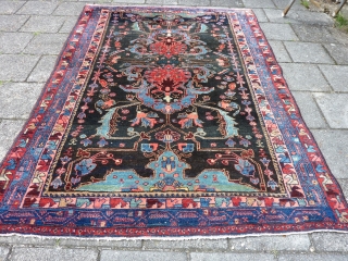 Bold and graphic Kurdish rug, 204 x 144 cm., 6' 8" x 4' 9", in Bidjar style, early 20th. c. In perfect condition, with meaty pile all over. Without any wear and  ...