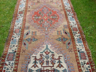 Serab runner, 428 x 96 cm., 14'1" x 3'2", ca. 1900. Thick, wooly pile and soft, all natural dyes on camelwool ground. One tiny lower area and loss of the small guard  ...