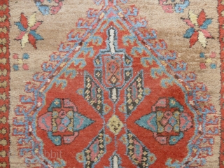Serab runner, 428 x 96 cm., 14'1" x 3'2", ca. 1900. Thick, wooly pile and soft, all natural dyes on camelwool ground. One tiny lower area and loss of the small guard  ...