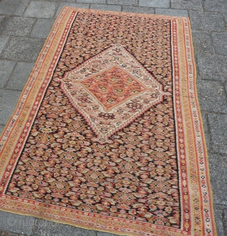 Antique Senneh Kilim, 192 x 118 cm., 6' 3" x 3' 10".                     