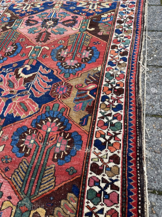 Sweet antique Bachtiari rug, 204 x 130 cm., with a nice range of colours, all natural. With low pile, the sides needs rewrapping and a small patch in the upper left corner.
robvanwieringen@telfort.nl 