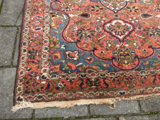 Fine Bachtiari, 208 x 142 ( 6'10" x 4'8") ca. 1920, with full pile all over. Part of a kilim end missing. All good dyes. No repairs. Lays flat and straight.  