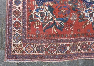 Charming squarish Afshar ca.1900, 186 x 161 cm., 6' 1" x 5' 3". Woolen chain, No repairs and all natural dyes. Minor scattered wear in places. Clean, flat and straight.   