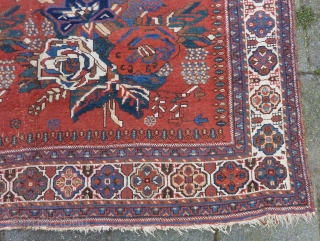 Charming squarish Afshar ca.1900, 186 x 161 cm., 6' 1" x 5' 3". Woolen chain, No repairs and all natural dyes. Minor scattered wear in places. Clean, flat and straight.   