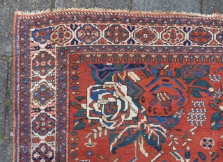 Charming squarish Afshar ca.1900, 186 x 161 cm., 6' 1" x 5' 3". Woolen chain, No repairs and all natural dyes. Minor scattered wear in places. Clean, flat and straight.   