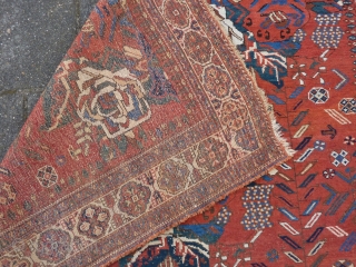 Charming squarish Afshar ca.1900, 186 x 161 cm., 6' 1" x 5' 3". Woolen chain, No repairs and all natural dyes. Minor scattered wear in places. Clean, flat and straight.   