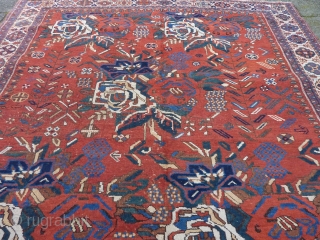 Charming squarish Afshar ca.1900, 186 x 161 cm., 6' 1" x 5' 3". Woolen chain, No repairs and all natural dyes. Minor scattered wear in places. Clean, flat and straight.   