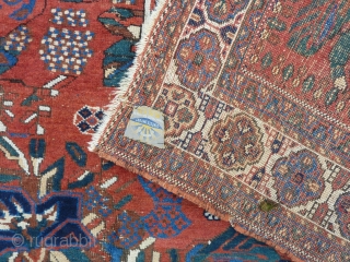 Charming squarish Afshar ca.1900, 186 x 161 cm., 6' 1" x 5' 3". Woolen chain, No repairs and all natural dyes. Minor scattered wear in places. Clean, flat and straight.   