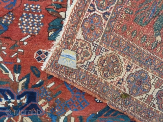 Charming squarish Afshar ca.1900, 186 x 161 cm., 6' 1" x 5' 3". Woolen chain, No repairs and all natural dyes. Minor scattered wear in places. Clean, flat and straight.   