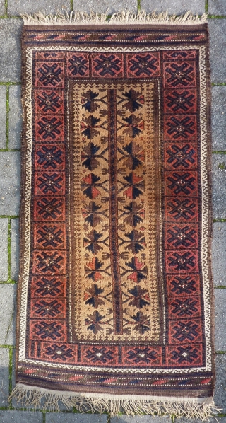 Antique Lebensbaum Baluch on camel wool ground, 171 x 81 cm., 5' 7" x 2' 7". Original and very complete. All good dyes, not washed yet.       