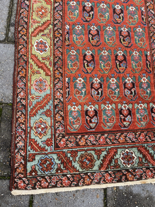 Antique Bakhshaiesh Rug, 232 x 93 cm., ca. 1900. Former private collection of mr. Gans, co-writer of the Gans-Ruedin rug books.            